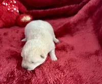 processed/9dd07f46-76e5-41bd-82ce-4d5454d90aef/listing/a4d3d8e9-b9c9-4346-8d96-aedc46acbe2f/ae35645c-51e9-4fb0-88a8-0babc4bbb475