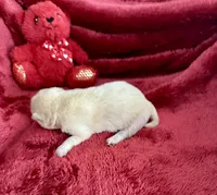 processed/9dd07f46-76e5-41bd-82ce-4d5454d90aef/listing/a4d3d8e9-b9c9-4346-8d96-aedc46acbe2f/d81f0bb7-0eda-4624-a482-0f577cc7440c