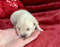 processed/9dd07f46-76e5-41bd-82ce-4d5454d90aef/listing/a4d3d8e9-b9c9-4346-8d96-aedc46acbe2f/ead9ddfa-8db0-404f-a421-cbd791c1d832