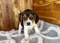 processed/9dd07f46-76e5-41bd-82ce-4d5454d90aef/listing/ad1f149a-99a6-4e09-935e-f7b84c7ee032/1ff875f2-4f94-4eb5-aabf-d569b951e97a