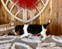 processed/9dd07f46-76e5-41bd-82ce-4d5454d90aef/listing/ad1f149a-99a6-4e09-935e-f7b84c7ee032/24e2bbab-206f-4193-ab33-a94c0a3dd11f