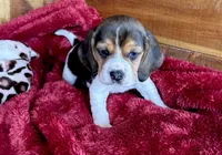 processed/9dd07f46-76e5-41bd-82ce-4d5454d90aef/listing/ce987d31-7d2f-43be-a56f-7a37ef96fea6/1d93af74-6dd9-489a-abaf-02d851fe2962