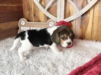 processed/9dd07f46-76e5-41bd-82ce-4d5454d90aef/listing/ce987d31-7d2f-43be-a56f-7a37ef96fea6/8c72b01b-b415-4477-afe9-73341f34653d