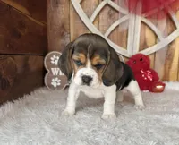 processed/9dd07f46-76e5-41bd-82ce-4d5454d90aef/listing/ce987d31-7d2f-43be-a56f-7a37ef96fea6/bbd39134-f8aa-457d-8cc4-833e9e01c2b1