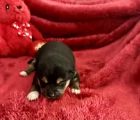 processed/9dd07f46-76e5-41bd-82ce-4d5454d90aef/listing/db8ed940-a5b3-4c0a-9982-f7f6fb5aed98/61cb44c1-bd12-4d5e-97ad-afae4774eeb9