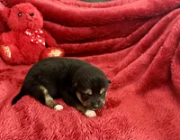 processed/9dd07f46-76e5-41bd-82ce-4d5454d90aef/listing/db8ed940-a5b3-4c0a-9982-f7f6fb5aed98/965caadc-25c4-455e-bd75-d97a99390362