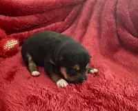 processed/9dd07f46-76e5-41bd-82ce-4d5454d90aef/listing/db8ed940-a5b3-4c0a-9982-f7f6fb5aed98/ccf20cde-e891-40a0-8599-5758b619a37f