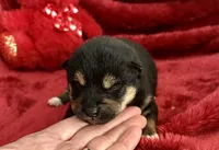 processed/9dd07f46-76e5-41bd-82ce-4d5454d90aef/listing/db8ed940-a5b3-4c0a-9982-f7f6fb5aed98/cece10f5-3072-47d7-b796-5790af02bbd6