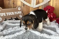 processed/9dd07f46-76e5-41bd-82ce-4d5454d90aef/listing/dcb0a1ee-1c55-4373-828a-062f41f2cdf2/1bffdadd-b516-4767-b25d-77248c84a983