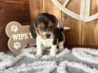 processed/9dd07f46-76e5-41bd-82ce-4d5454d90aef/listing/dcb0a1ee-1c55-4373-828a-062f41f2cdf2/47d3be4c-c459-4a64-a9ac-786aff796cfb