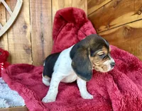 processed/9dd07f46-76e5-41bd-82ce-4d5454d90aef/listing/dcb0a1ee-1c55-4373-828a-062f41f2cdf2/68916aad-d699-41d9-8d73-89e068c963bc