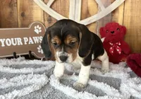 processed/9dd07f46-76e5-41bd-82ce-4d5454d90aef/listing/dcb0a1ee-1c55-4373-828a-062f41f2cdf2/aa704640-ab8b-44d4-91c7-af28b42eea55