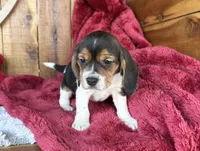 processed/9dd07f46-76e5-41bd-82ce-4d5454d90aef/listing/dcb0a1ee-1c55-4373-828a-062f41f2cdf2/f944e849-fc26-4036-adf1-e3742ee1dedd