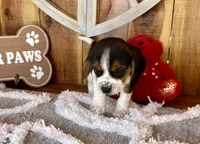 processed/9dd07f46-76e5-41bd-82ce-4d5454d90aef/listing/e8f3b89e-3747-4fd8-a617-f5bc6bccd802/0f8a9795-2c43-4c6b-9fe4-c83337d78603