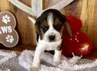 processed/9dd07f46-76e5-41bd-82ce-4d5454d90aef/listing/e8f3b89e-3747-4fd8-a617-f5bc6bccd802/b7836e7c-284c-49fa-b949-05cc8ddae685