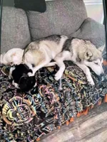 processed/9ddce885-3f5d-410e-8910-45441a7d7941/facility/4eb16695-e6cb-45c7-acd0-002c831a4eb0