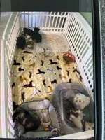 processed/9ddce885-3f5d-410e-8910-45441a7d7941/facility/52632d32-566e-4d90-b433-0519e1e8d2b2