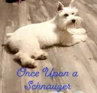 processed/9ddce885-3f5d-410e-8910-45441a7d7941/facility/d82483a5-5e2f-4b7d-ac82-a1e6f605cbe2