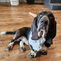 processed/9de15830-df33-4c0d-b764-1ceea89df78d/facility/04dea69b-538f-41ee-a92d-2f98407f6fca