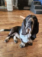 processed/9de15830-df33-4c0d-b764-1ceea89df78d/facility/04dea69b-538f-41ee-a92d-2f98407f6fca