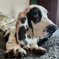 processed/9de15830-df33-4c0d-b764-1ceea89df78d/facility/2139feb5-ae9d-4428-86f2-8e1bb087a35a