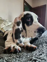 processed/9de15830-df33-4c0d-b764-1ceea89df78d/facility/2139feb5-ae9d-4428-86f2-8e1bb087a35a