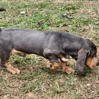 processed/9de15830-df33-4c0d-b764-1ceea89df78d/facility/22f28811-2577-43ec-9575-65cad1dd6ff5