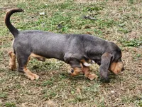 processed/9de15830-df33-4c0d-b764-1ceea89df78d/facility/22f28811-2577-43ec-9575-65cad1dd6ff5