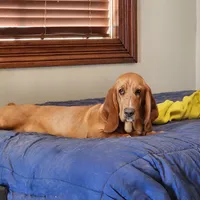 processed/9de15830-df33-4c0d-b764-1ceea89df78d/facility/5dd69b69-558f-498a-8b6d-80f8ae3c2ed6