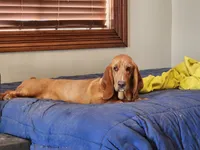 processed/9de15830-df33-4c0d-b764-1ceea89df78d/facility/5dd69b69-558f-498a-8b6d-80f8ae3c2ed6