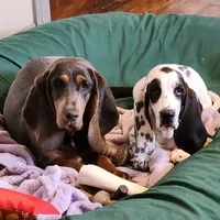 processed/9de15830-df33-4c0d-b764-1ceea89df78d/facility/87b0d7a7-60e5-44de-846c-eaf5bc5eb637