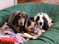 processed/9de15830-df33-4c0d-b764-1ceea89df78d/facility/87b0d7a7-60e5-44de-846c-eaf5bc5eb637