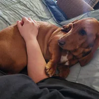 processed/9de15830-df33-4c0d-b764-1ceea89df78d/facility/aa2822d7-4468-4339-8083-ebe6ebe7af9a