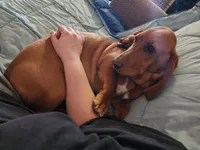 processed/9de15830-df33-4c0d-b764-1ceea89df78d/facility/aa2822d7-4468-4339-8083-ebe6ebe7af9a