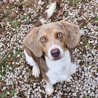 processed/9de15830-df33-4c0d-b764-1ceea89df78d/facility/ae3d0186-ed1c-4641-a0e3-df8dd236b470