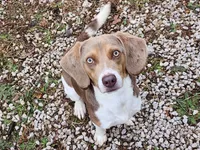 processed/9de15830-df33-4c0d-b764-1ceea89df78d/facility/ae3d0186-ed1c-4641-a0e3-df8dd236b470