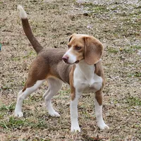 processed/9de15830-df33-4c0d-b764-1ceea89df78d/facility/c590f70a-8716-41ea-b274-2c46b7209c86