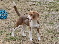 processed/9de15830-df33-4c0d-b764-1ceea89df78d/facility/c590f70a-8716-41ea-b274-2c46b7209c86