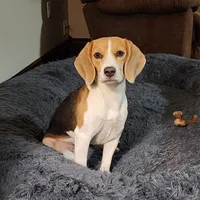 processed/9de15830-df33-4c0d-b764-1ceea89df78d/facility/e1e14782-c55c-47fd-a357-5dfdfed39784