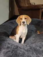 processed/9de15830-df33-4c0d-b764-1ceea89df78d/facility/e1e14782-c55c-47fd-a357-5dfdfed39784