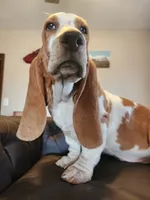 processed/9de15830-df33-4c0d-b764-1ceea89df78d/listing/fd4a1cf6-b065-48f6-80bd-36224aae83f4/147826c6-0e23-4d9f-9371-da62f527f65a