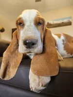 processed/9de15830-df33-4c0d-b764-1ceea89df78d/listing/fd4a1cf6-b065-48f6-80bd-36224aae83f4/75830350-4112-4335-ba92-8c9d536aa1e6