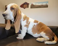 processed/9de15830-df33-4c0d-b764-1ceea89df78d/listing/fd4a1cf6-b065-48f6-80bd-36224aae83f4/f12861ed-ae69-4814-b590-0ecc5239487b