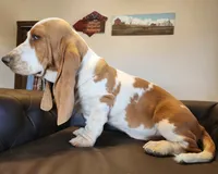 processed/9de15830-df33-4c0d-b764-1ceea89df78d/listing/fd4a1cf6-b065-48f6-80bd-36224aae83f4/fe0a99cd-14f8-441b-84da-379fc31e434b