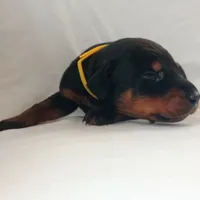 processed/9de2c8e8-5bbc-4c93-9512-235c9429ce48/listing/52825996-eefc-4826-9665-76c7f8114268/453015d6-c582-4230-b9a1-c75e3e4bd458