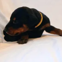 processed/9de2c8e8-5bbc-4c93-9512-235c9429ce48/listing/52825996-eefc-4826-9665-76c7f8114268/c014894e-9d69-41d9-80dd-7e8e5a83eba9