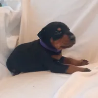 processed/9de2c8e8-5bbc-4c93-9512-235c9429ce48/listing/b616c797-88a6-43ea-b4f4-24e3f36ac7ac/0633bdc8-50af-4141-8478-989619c47f48