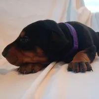 processed/9de2c8e8-5bbc-4c93-9512-235c9429ce48/listing/b616c797-88a6-43ea-b4f4-24e3f36ac7ac/1a4cbeed-870c-41f6-9237-0aa1af02529b