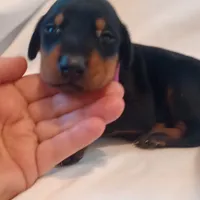 processed/9de2c8e8-5bbc-4c93-9512-235c9429ce48/listing/b616c797-88a6-43ea-b4f4-24e3f36ac7ac/631bc1f2-dba6-4273-9775-ce584929f719