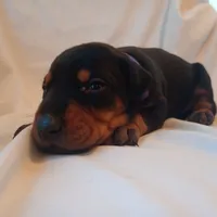 processed/9de2c8e8-5bbc-4c93-9512-235c9429ce48/listing/b616c797-88a6-43ea-b4f4-24e3f36ac7ac/d044806b-cd53-44e6-889f-2c1a75232470